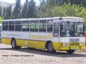 Ciferal Tocantins / Scania B111 / Escolares Colina