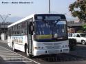 Marcopolo Torino / Mercedes Benz OF-1721 / Universidad Mayor