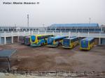 Flota de Buses I. Municipalidad de Alto Hospicio