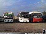 Flota de Buses Varias Empresas Particular