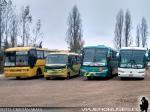 Flota de Buses Varias Empresas Particular