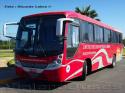 Comil Versatile / Mercedes Benz OF-1721 / I. Municipalidad de Pozo Almonte