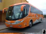 Marcopolo Viaggio G7 1050 / Mercedes Benz OC-500RF / Top Buses