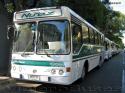 Metalpar Petrohue 2000 / Mercedes Benz OH-1420 / Buses Nuñez