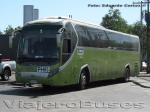 Zhong Tong LCK6125H / Transantin