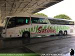 Irizar i6s / MAN 26.460 / Socibus