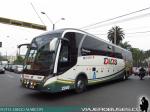 Neobus New Road N10 380 / Volvo B430R / Dias