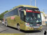 Marcopolo Paradiso G7 1350 / Mercedes Benz O-500RSD / Flores