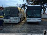 Marcopolo Viaggio - Paradiso GV - G6 / Turismo en Brasil