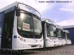 Flota Buses Expreso Colonia 1ª Parte