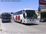 Unidades Buses Ko-Ko - Argentina