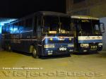 Unidades Busscar El Buss 360 / Volvo B10M / Flores