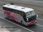 Comil Campione 4.05HD / Scania K124IB / Molina