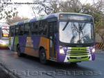 Ciferal CitMax / Volkswagen 17-210 / EPTM - Mendoza