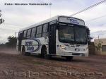 Flota de Buses Expreso Colonia