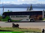 Marcopolo Andare Class 1000 / Mercedes Benz O-500M / Via Bariloche