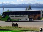 Marcopolo Andare Class 1000 / Mercedes Benz O-500M / Via Bariloche