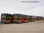 Marcopolo Paradiso 1800DD / Volvo B12R / Cruz del Sur - Perú