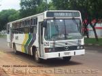 Marcopolo Torino / Mercedes Benz OF-1115 / Foz de Yguazú - Ciudad del Este