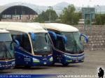 Unidades Marcopolo - Irizar PB / Volvo - Scania / Expreso San Roman