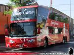 Modasa New Zeus II / Scania K360 / Buses Ivergrama