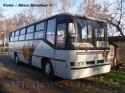 Caio Gabriela con frente de Busscar/ Mercedes Benz OH-1313 / Ecobus