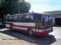 Marcopolo Torino / Mercedes Benz OF-1114 / Linares - Longavi