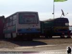 Unidades Marcopolo Senior & Mercedes Benz O-362 / Comida Rapida al Paso EL CHIRINGUITO