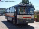 Metalpar Petrohue Transformado / Mercedes Benz OF-1115 / Polo Bus