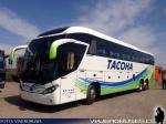 Mascarello Roma 370 / Volvo B420R / Tacoha