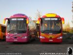 Irizar i6s 3.90 / Scania K360 / Terma Tur
