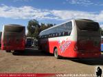 Neobus Road N10 340 / Mercedes Benz OF-1724 / Buses Pehuen