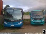 Unidades Marcopolo y Caio / Volkswagen / Buses Sao Paulo