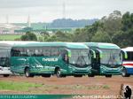 Mascarello Roma M4 / Mercedes Benz OF-1724 / Thaebus