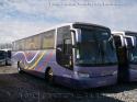 Busscar El Buss 340 / Mercedes Benz O-500R / Sotrul