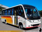 Neobus Thunder+ / Mercedes Benz LO-916 / Linea 1 - Temuco