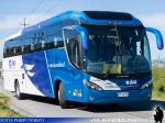 Mascarello Roma 350 / Volvo B380R / Buses ABSA