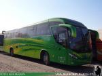 Mascarello Roma 350 / Volvo B290R / Unidad de Stock