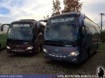 King Long XMQ6858Y / Buses Calinpar