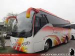 King Long XMQ6858 / Turis Mel