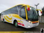 Neobus New Road N10 340 / Mercedes Benz OF-1724L / Buses Jordan