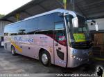 Golden Dragon / Buses Palacios