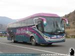 Mascarello Roma R4 / Mercedes Benz O-500R / Bus-Sur