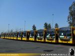Caio Mondego / Mercedes Benz O-500U / STP Santiago