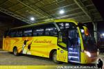 Neobus New Road N10 360 / Mercedes Benz OF-1724 / Alecartours