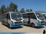 Bepobus Nascere / Mercedes Benz LO-916 / Buses Paine