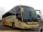 Neobus New Road N10 380 / Scania K400 / Pullman Austral