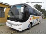 Zhong Tong Catch / Buses Thiele