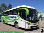 Mascarello Roma M4 / Mercedes Benz OF-1724 / Thaebus