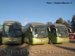 Marcopolo Paradiso 1200 G7 / Mercedes Benz O-500RSD / Tur-Bus